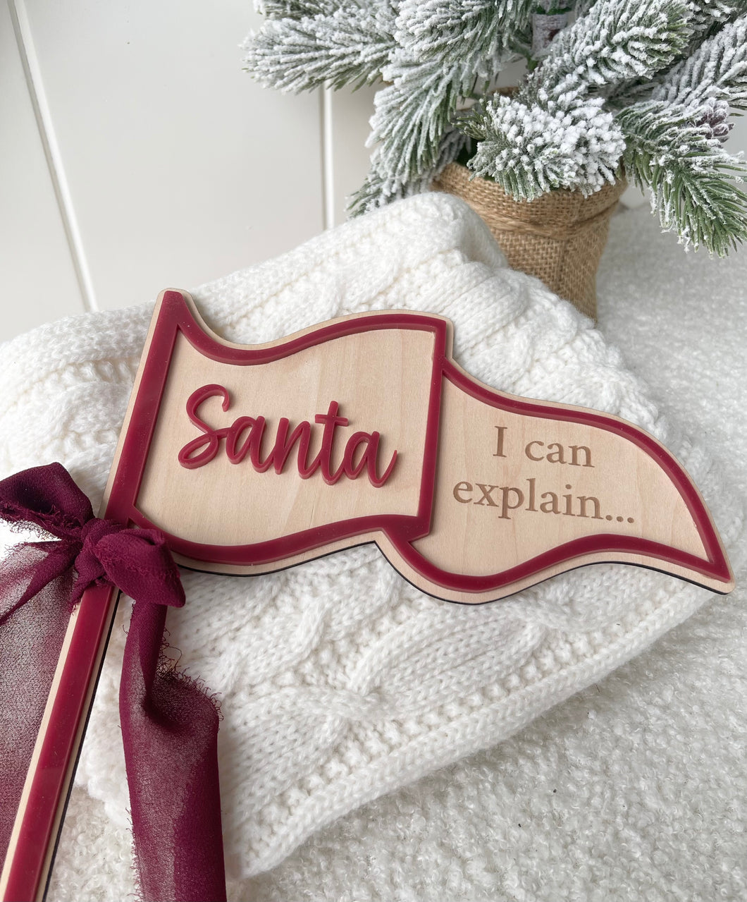 Santa I can Explain Flag