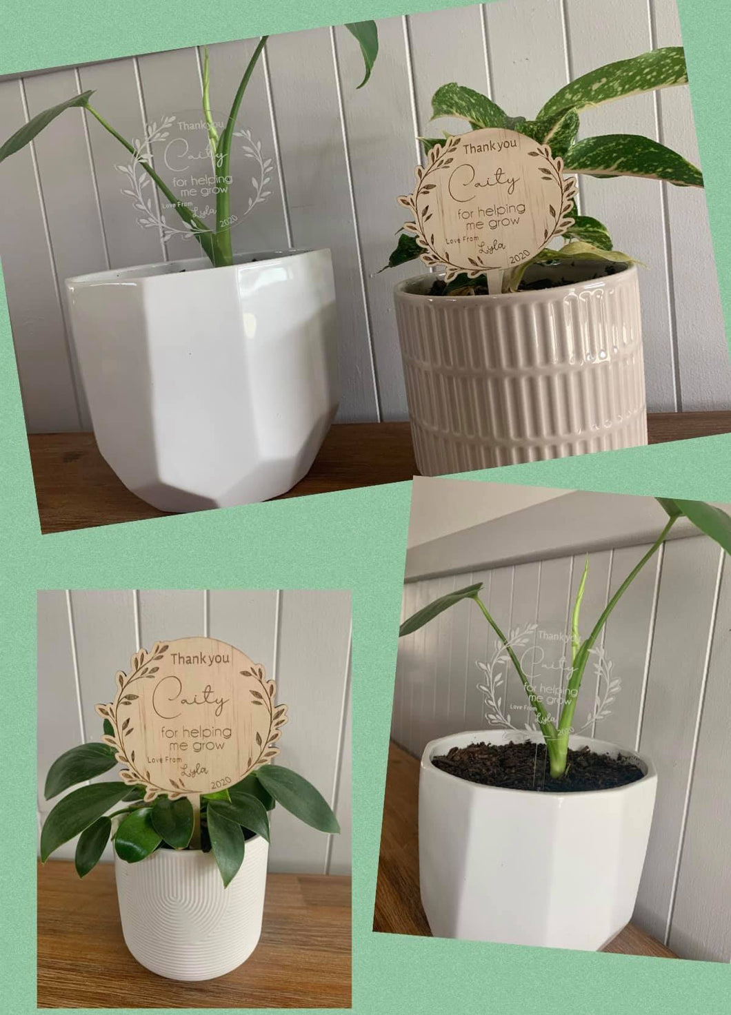 Personalised Teacher/ Educator Planter Sticks